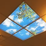 Torslanda 3*