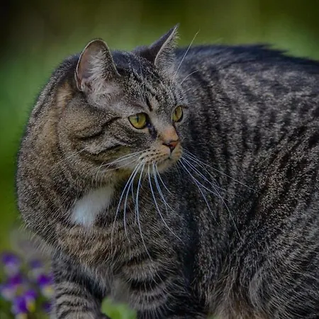 Eklanda Kwatera prywatna *