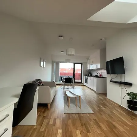 Apartment Roof Top With Terrace