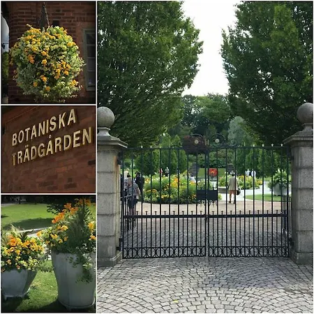 Downtown Sailboat - Vega 2 보트호텔 *