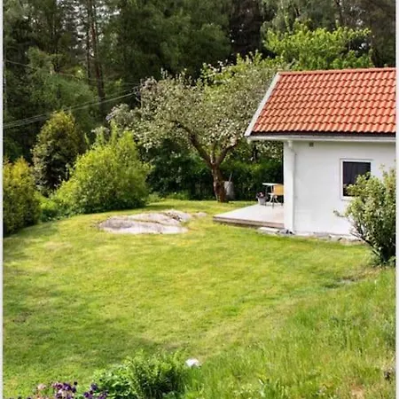 Vakantiehuis Tiny House *