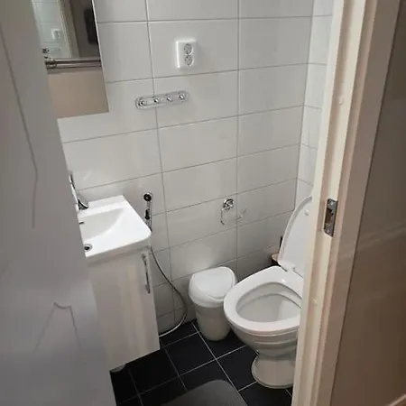 Asta 231