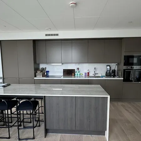 公寓 Luxurious Penthouse