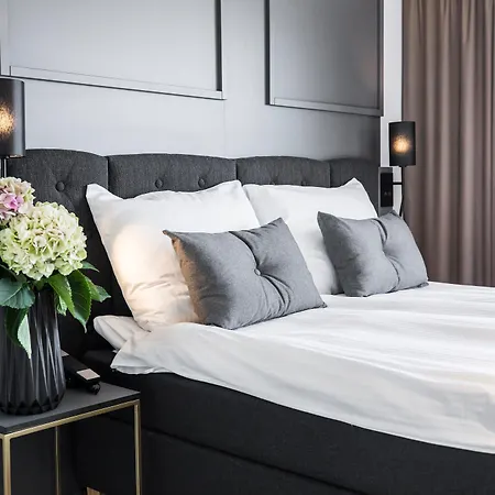 Radisson Blu Scandinavia Hotel, Hotel 4*