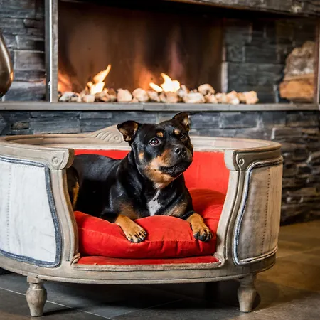 Arken & Art Garden 4*