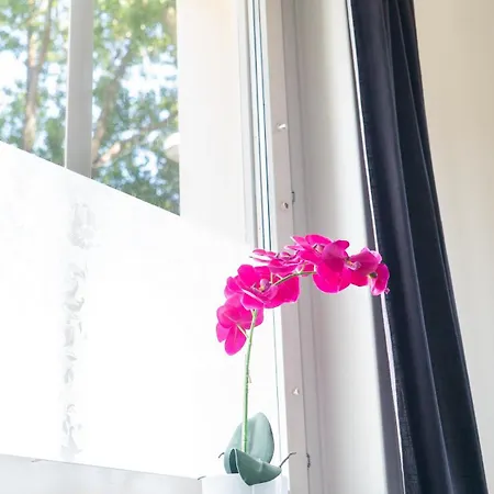 Chic 1br Center Sleeps 4 Brämaregården Lägenhet *