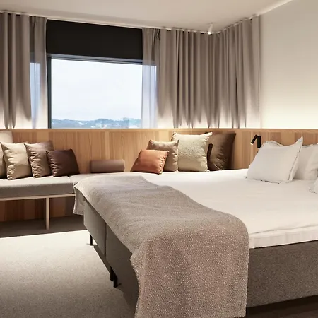 酒店 Gothia Towers & Upper House 4*