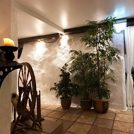 Treetop Hangout &