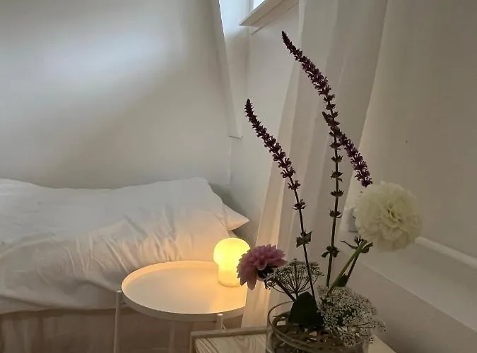 Spacious & Affordable Stay, 8 Sleeps With Garden! Апартаменты *