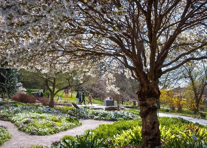 Spacious & Affordable Stay, 8 Sleeps With Garden! *