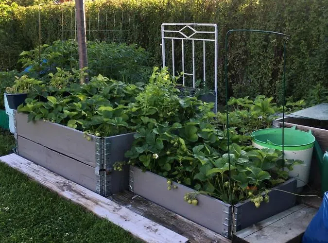 Bo Naera Och City. Villa Göteborg