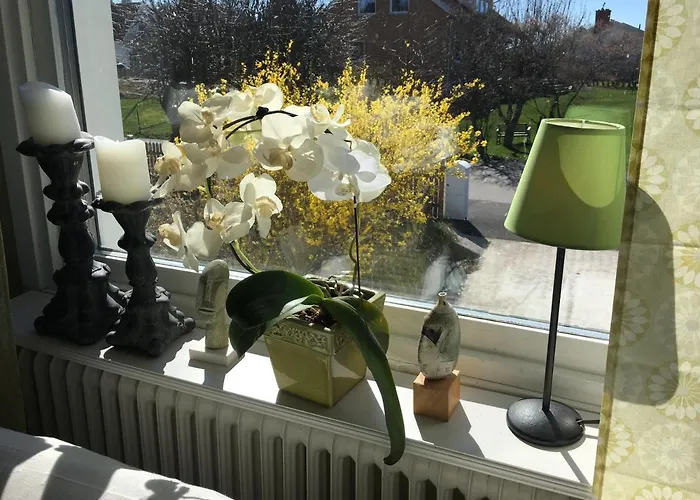 Bo Naera Och City. *