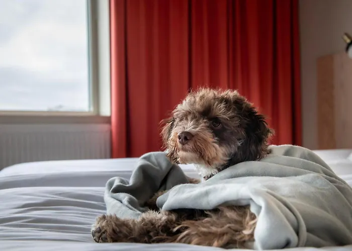 Kviberg Park & Conference Göteborg