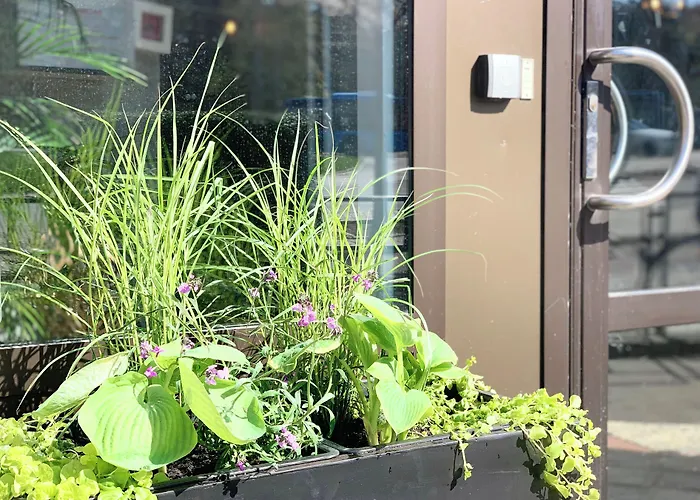 Linneplatsens & Göteborg