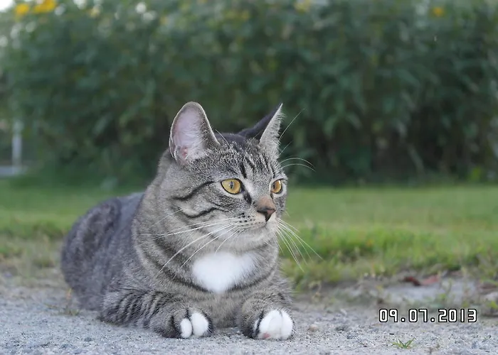 Kwatera prywatna Eklanda *