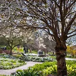 Spacious & Affordable Stay, 8 Sleeps With Garden! *