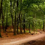 Spacious & Affordable Stay, 8 Sleeps With Garden!