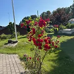 Modern Near & Nature *