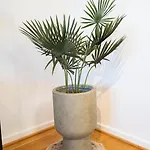 Scandi-boho 1br Calm & Well-connected Location