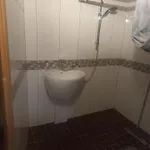 Place With Sauna *