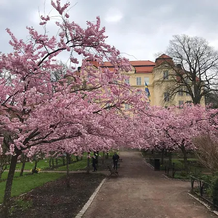 Nymon City