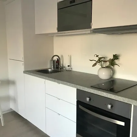 Mysig Studiolaegenhet I Vaestra Lejlighed *