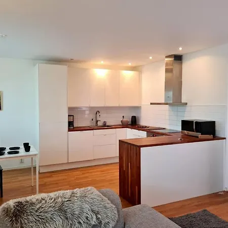 Apartment Cozy In The Center Of Göteborg