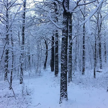 Bed and breakfast Torpet Mon