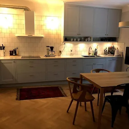 Premium Lagenhet I Centrala Goteborg, Kungsladugard Gothenburg