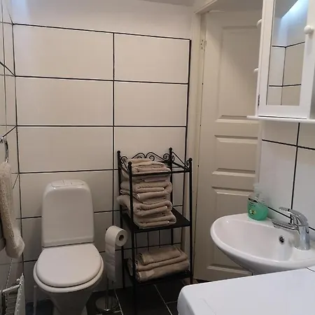 公寓 Minilaegenhet *