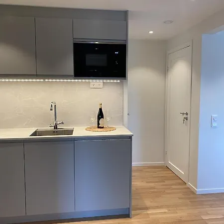 Luxurious With Free Parking Appartement