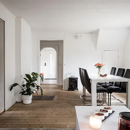 别墅 The Little Oasis In