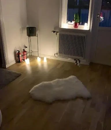 Hotel I Saevedalen 4*