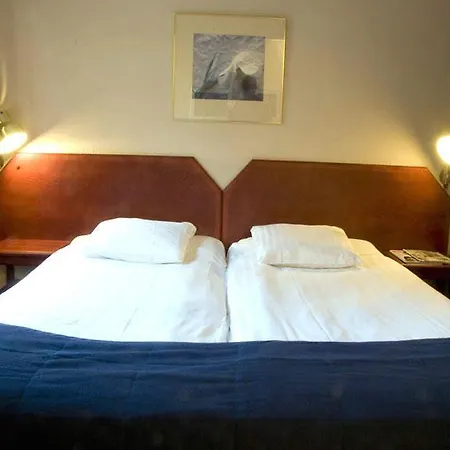 酒店 奥基迪酒店 3*