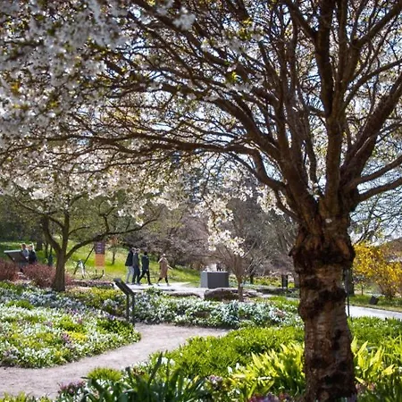 Spacious & Affordable Stay, 8 Sleeps With Garden! *