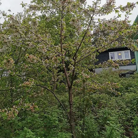 Holiday park Charmig Stuga