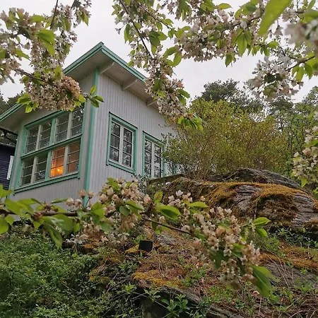 Holiday park Lilla Stugan