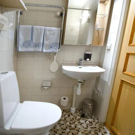 Отель Oergryte 3*