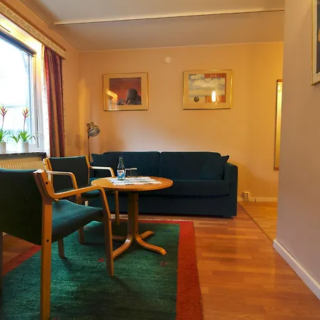 Отель Oergryte 3*