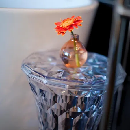 Radisson Blu Riverside מלון