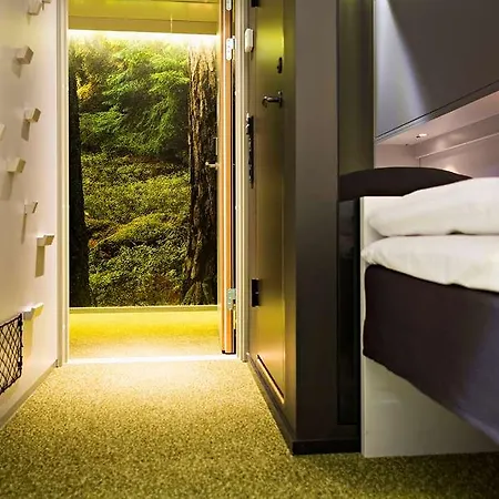 Comfort Hotel 3*