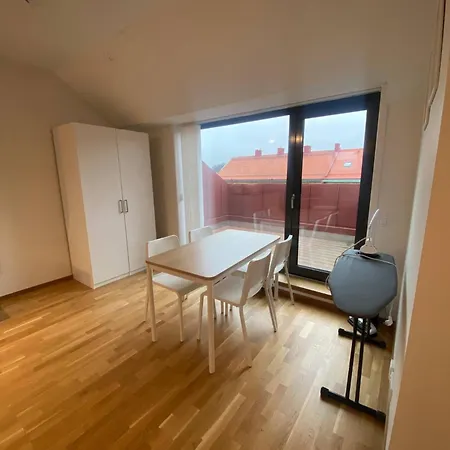 Luxurious Flat With A Rooftop Terrace Διαμέρισμα Γκέτεμποργκ