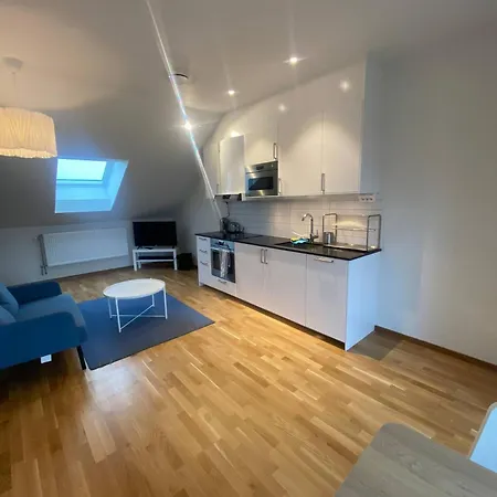 Luxurious Flat With A Rooftop Terrace