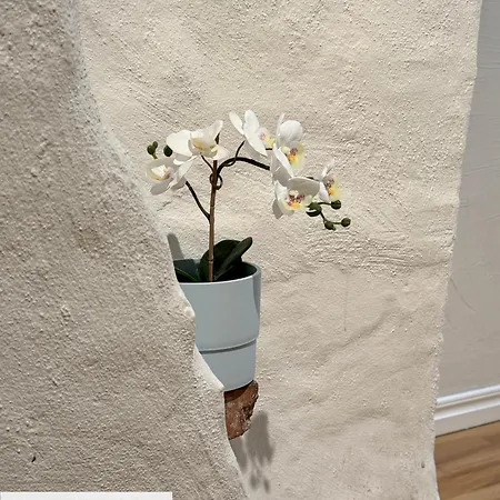 Appartement C Annedal