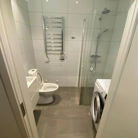 Luxurious Flat With A Private Rooftop Terrace 公寓 哥德堡