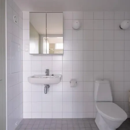 Spacious In Cozy Area Apartment Gothenburg