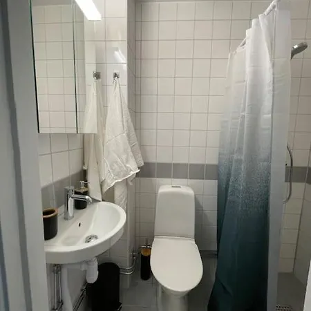 Newly Renovated Close To Centre