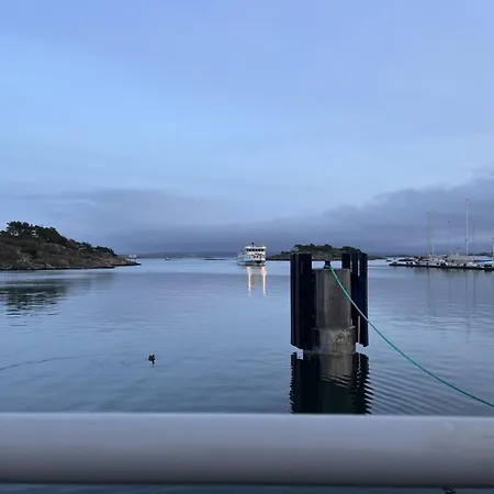 Maggies Sea *