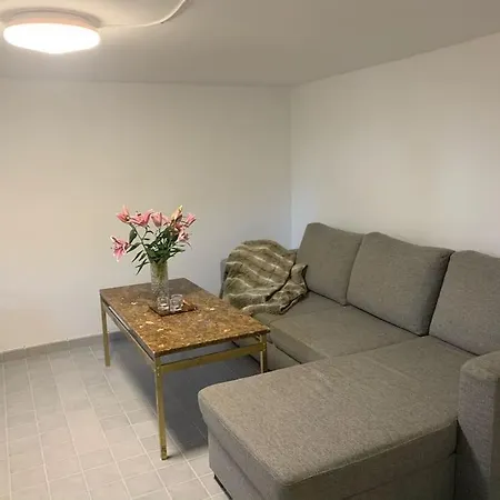Mysigt Centralt Boende Lägenhet Göteborg