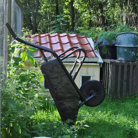 לינה וארוחת בוקר Torpet Mon